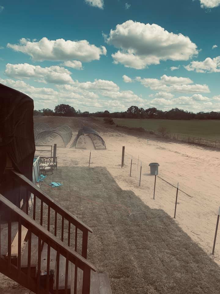 The wind has been blowing sand all day long. Each time I go outside, it gets in my mouth and on my skin, just like in March in El Paso. The wind has been blowing sand all day long. Each time I go outside, it gets in my mouth and on my skin, just like in March in El Paso.