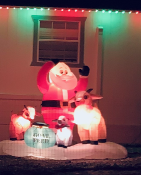 Santa is feeding the goats.