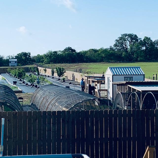 You can see three of our workers who came today, including one who will not work Saturdays in the store...