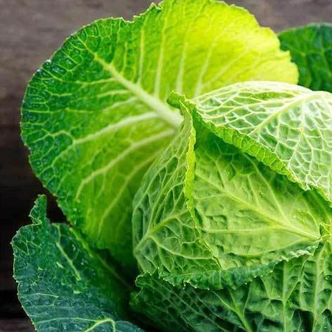 Grow cabbage like Savoy Perfection cabbage which has an interesting texture and a mild, sweet flavor.