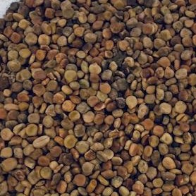 These seeds look like small pebbles and they are a bit heavy. I doubt they would float even if they were not viable. These seeds look like small pebbles and they are a bit heavy. I doubt they would float even if they were not viable.