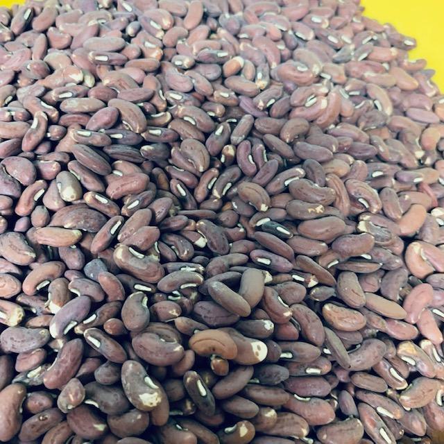 There are many colors, sizes, and shapes of seeds.