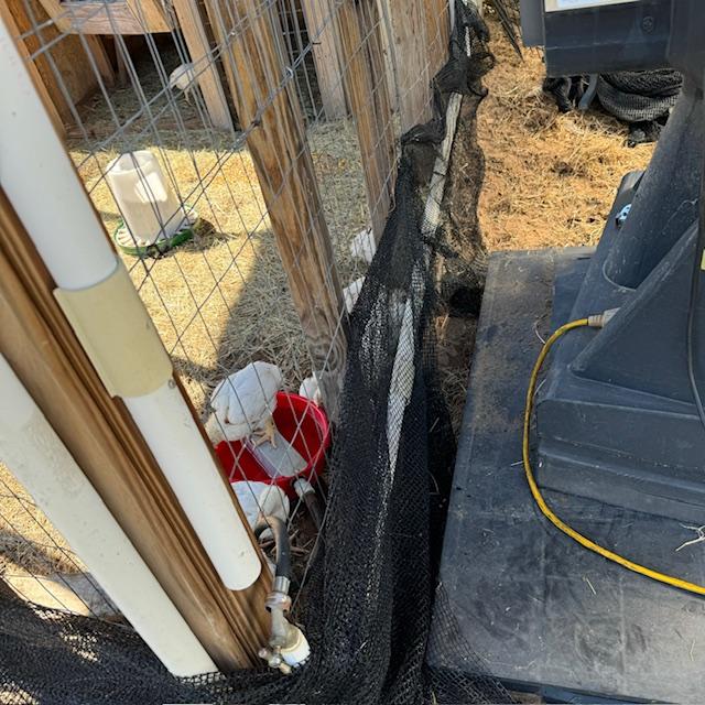 Matt ran shade cloth along the bottom of the pen where the meat chicks are so they will stop escaping. I have no idea how they can fit through the holes.