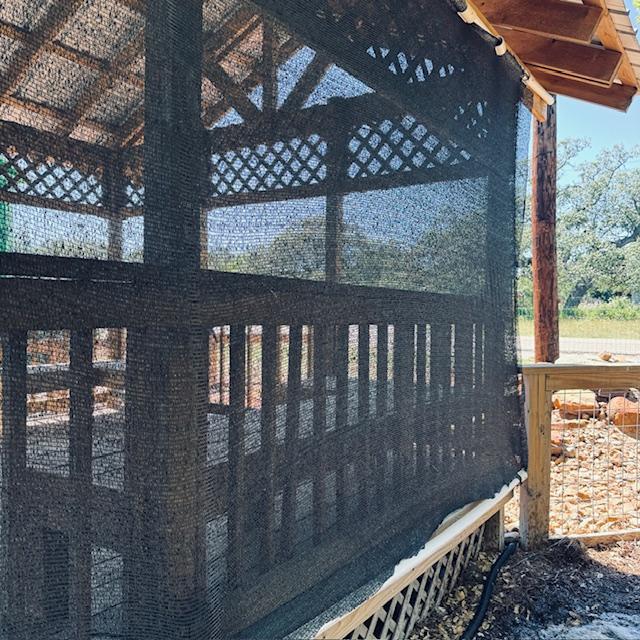 Shade cloth is now on the pond by the oak tree so we don't have to worry about the filter getting clogged with leaves and pollen.
