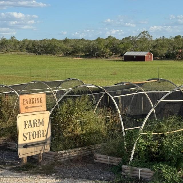 They just plopped that shed right on the grass. No pad, no bricks, no wood, nothing!