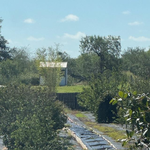 This is where the shed has been at the top of the property line for several years. It is a nice one.