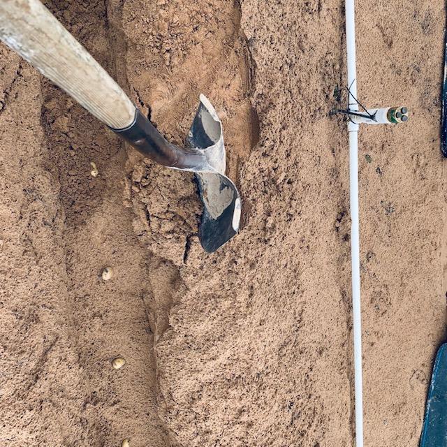 Shoveling dirt on our seed potatoes.