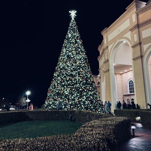 The Christmas tree lit up after the performance at Sights And Sounds. It is spectacular.