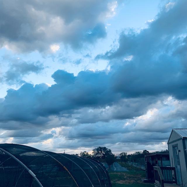 I snapped this when I was out back feeding the animals this morning when things got better...