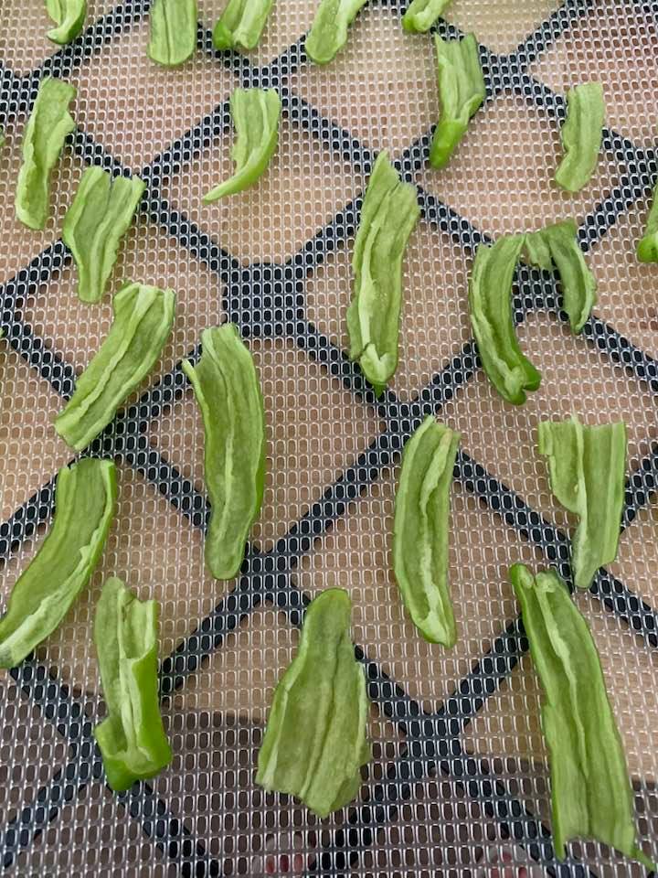 Shishito peppers are so much thinner than the bell peppers. Both types of peppers are from our garden.