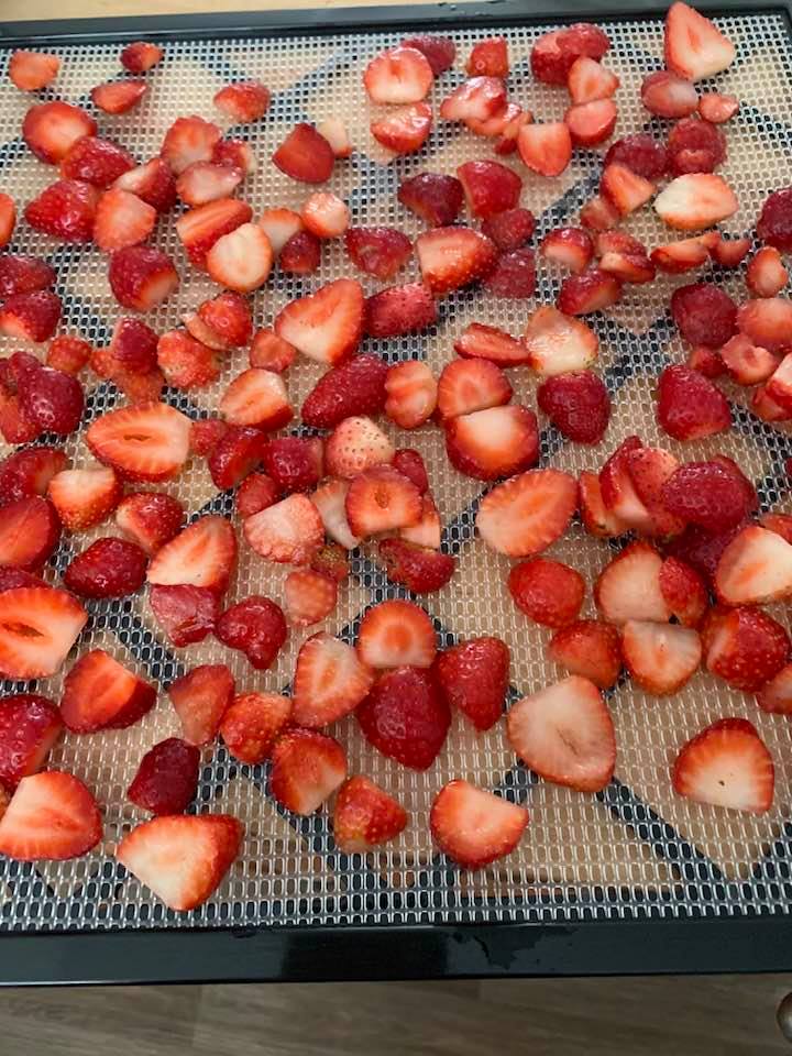 I sliced strawberries fresh from the garden.