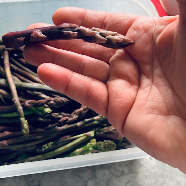 One of the workers harvested the asparagus, cutting it in 3 to 5 inch pieces. It is just better for me to do it so it is done right. I just wish I didn't always have to be in the store.