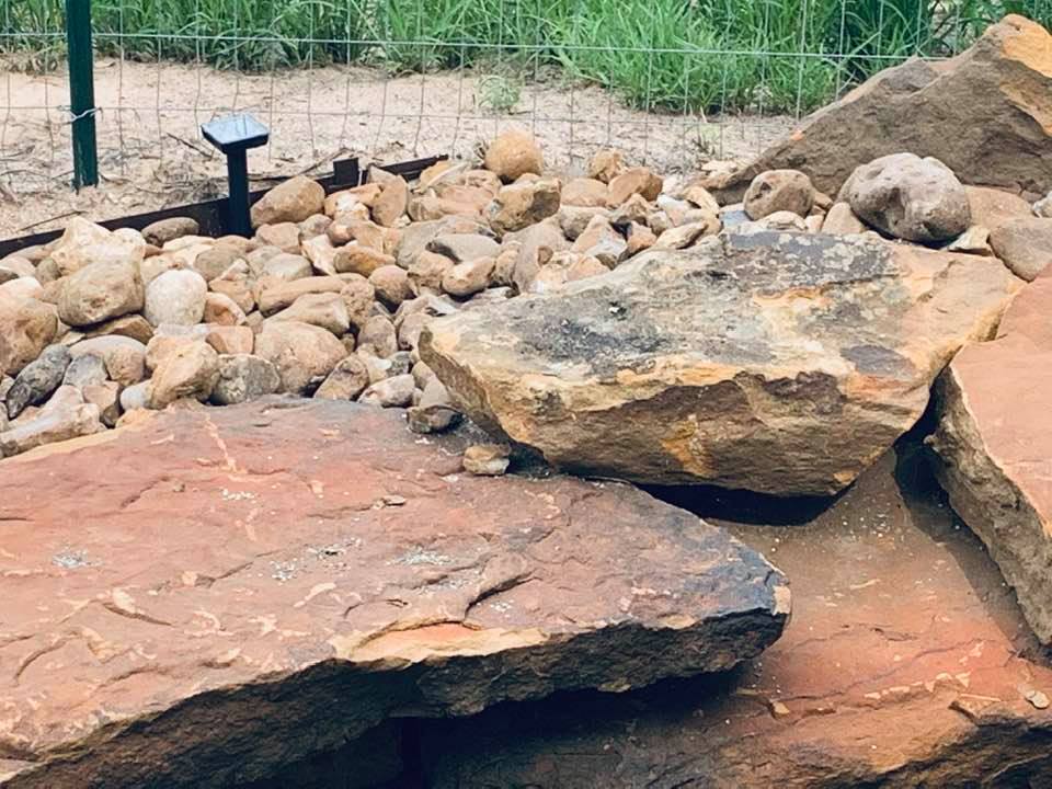 See the solar panel on a stick? It gives off beeps that warn snakes not to come around.