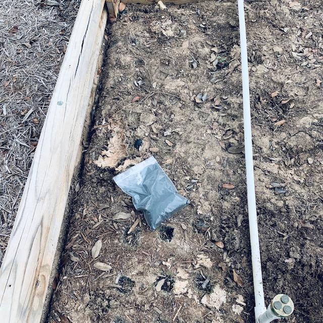 I planted a bag of snapdragon seeds in bed K, close to the store but not right in front of it. This is part of our fall garden in Texas.