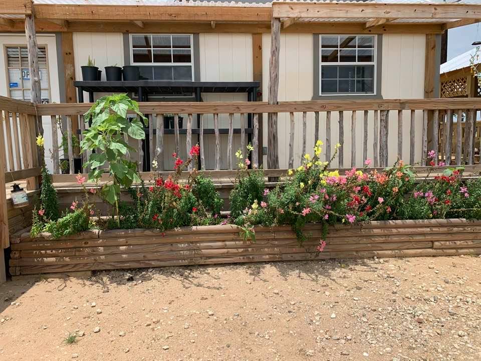 The snapdragons and mammoth grey stripe sunflowers growing outside of the farm store say "Hello!"