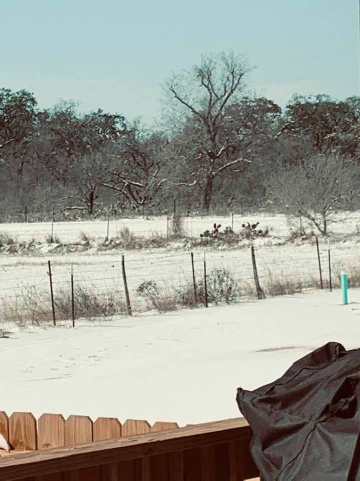 This view of the Snow in Texas 2021 event was shot from the front deck and shows the hay field next door and the road we are on, FM 2504. This view of the Snow in Texas 2021 event was shot from the front deck and shows the hay field next door and the road we are on, FM 2504.