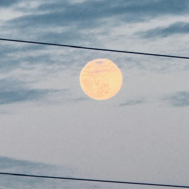 Here is tonight's moon. It looks full but tomorrow is the full moon, the Snow Moon. Very bright and up early. Here is tonight's moon. It looks full but tomorrow is the full moon, the Snow Moon. Very bright and up early.