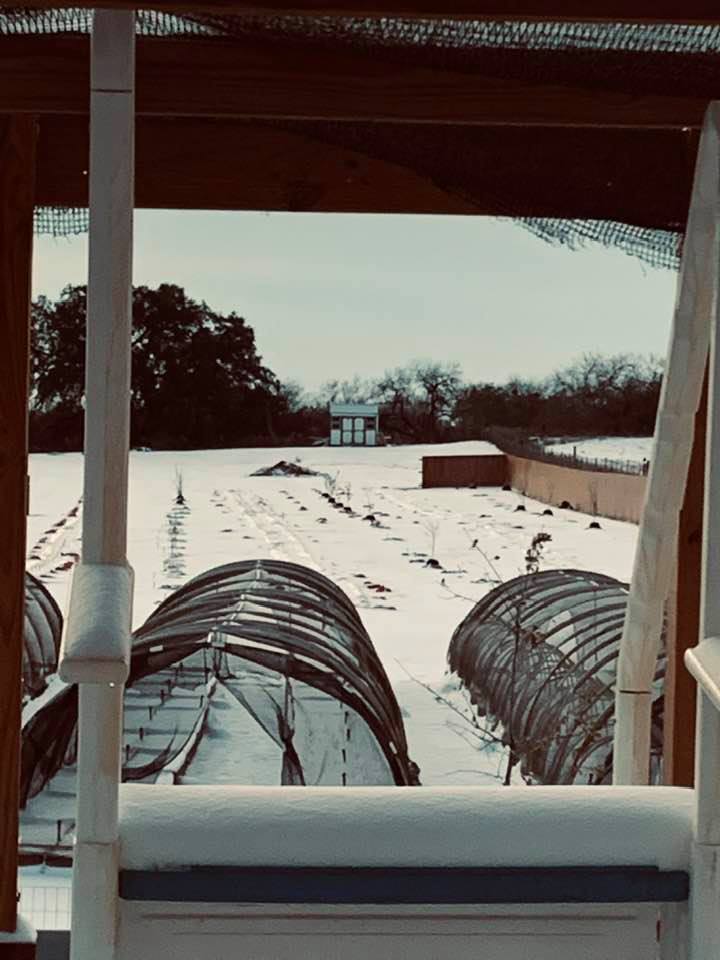 In February of 2021, everything on the farm was covered in snow for days.