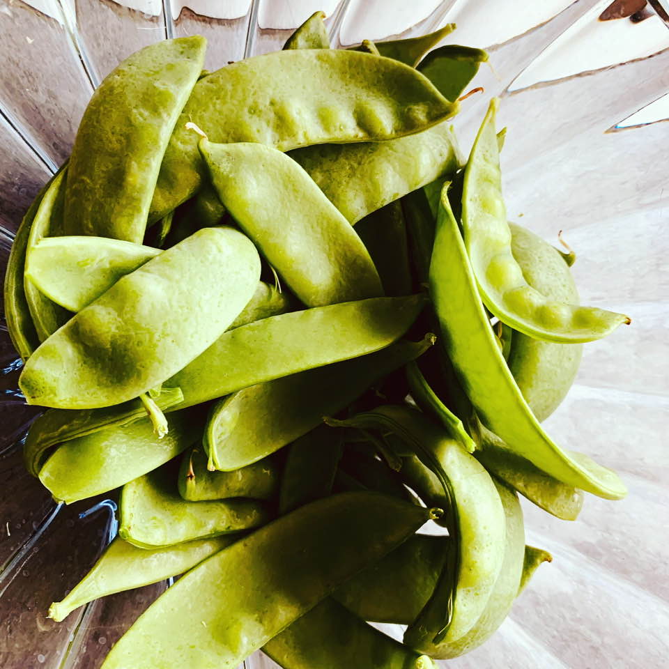 Our first crop of SnowPeas tasted delicious. I sauteed them in butter with soy sauce.