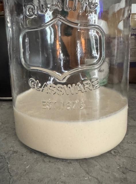 This is my fresh sourdough starter as of this morning. It is already beginning to bubble.