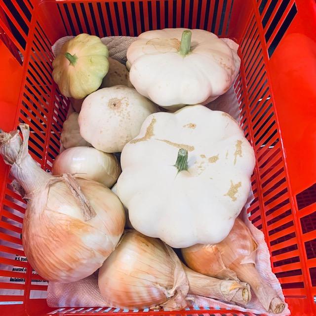 We have white patty pan squash and Texas 1015Y onions. June garden chores include picking your produce each day.