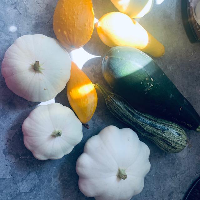 My latest squash and zucchini harvest in my kitchen. So excited! Planting herbs is just part of our gardening.