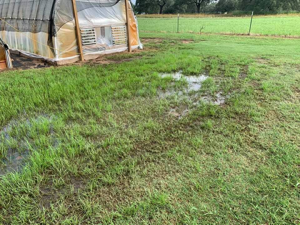 As you can see, we don't need anymore rain. There is standing water all over the back forty. The rust color on the plastic is from the iron in our well water.