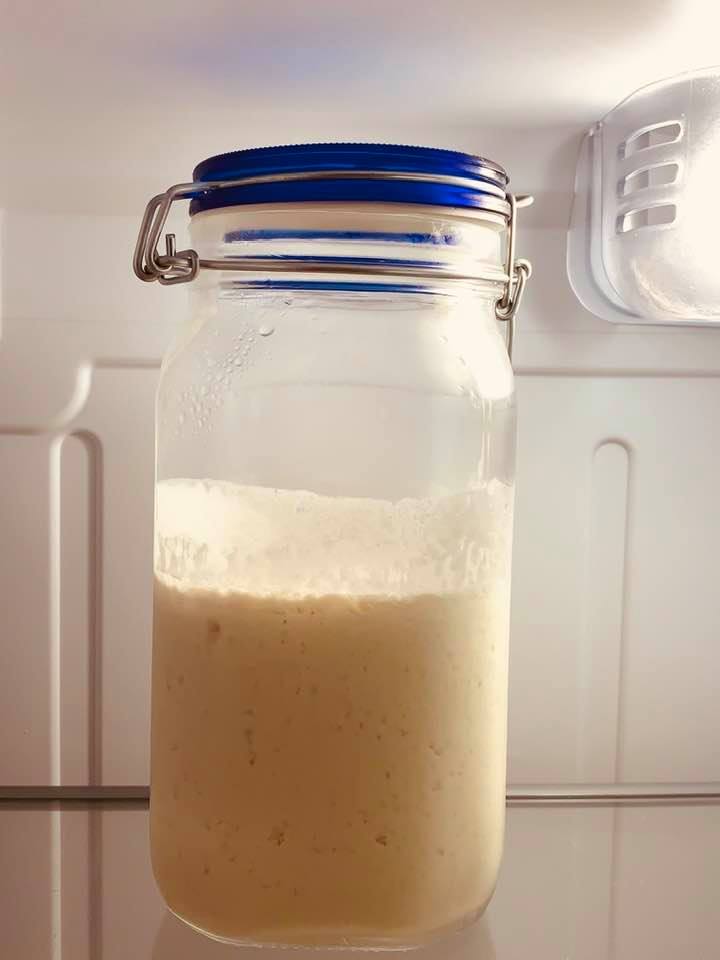 My sourdough starter in the glass jar I got from Amazon. I just typed in sourdough starter and this jar popped up on Amazon. My sourdough starter in the glass jar I got from Amazon. I just typed in sourdough starter and this jar popped up on Amazon.