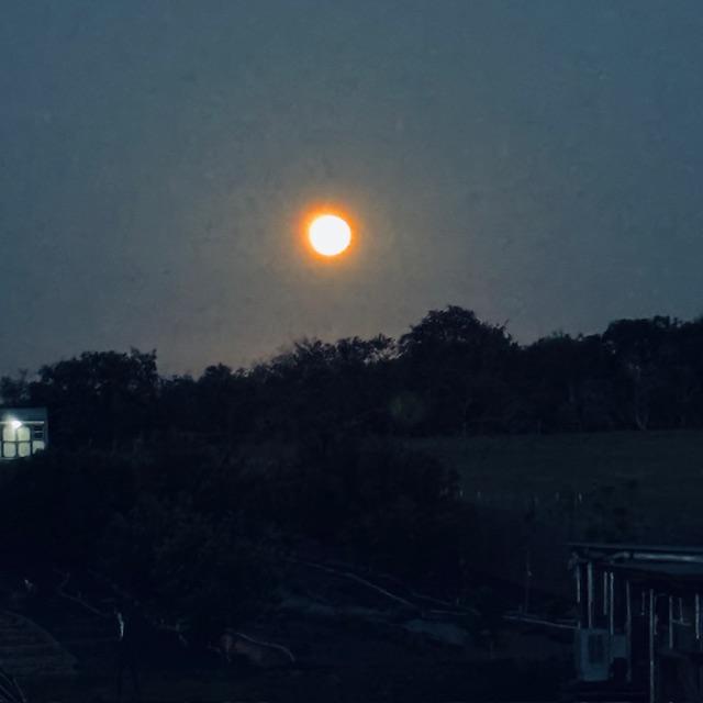 The camera never does justice to the moon for some reason but it was gorgeous.