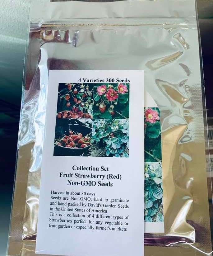 One of our gardening gifts, our strawberry seed set.