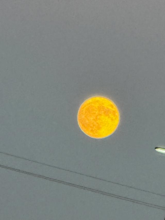 Matt took this shot of the sturgeon moon tonight.