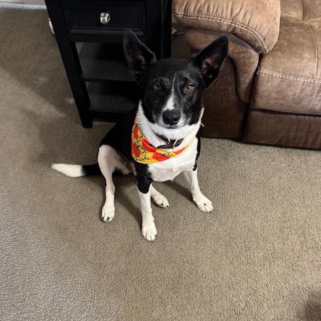 Sue Ellen is not camera shy.