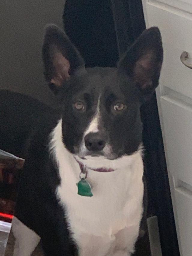 Sue Ellen with a rather stern look on her face.