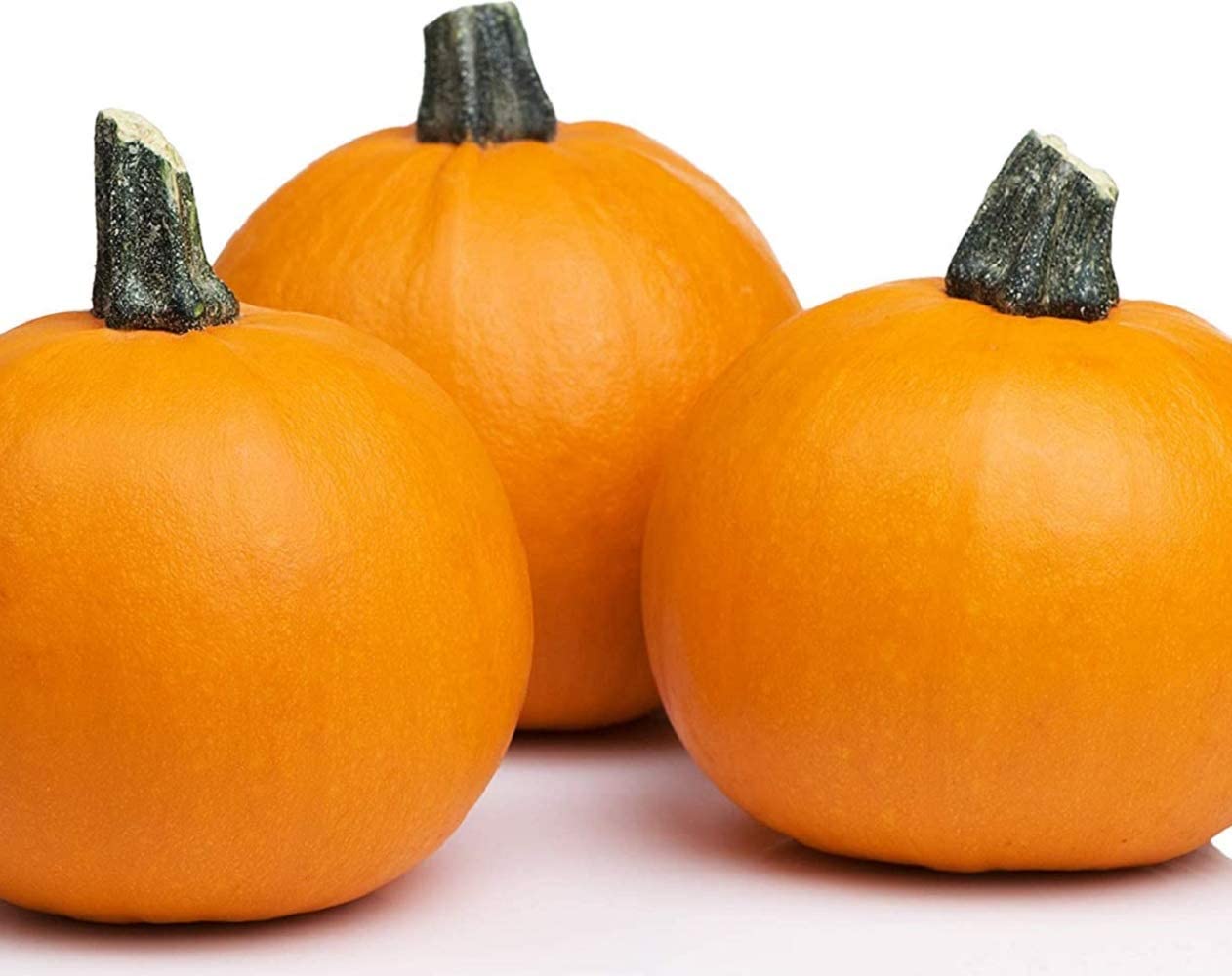 Sugar Pie pumpkins are great for making pies because they have thick flesh.