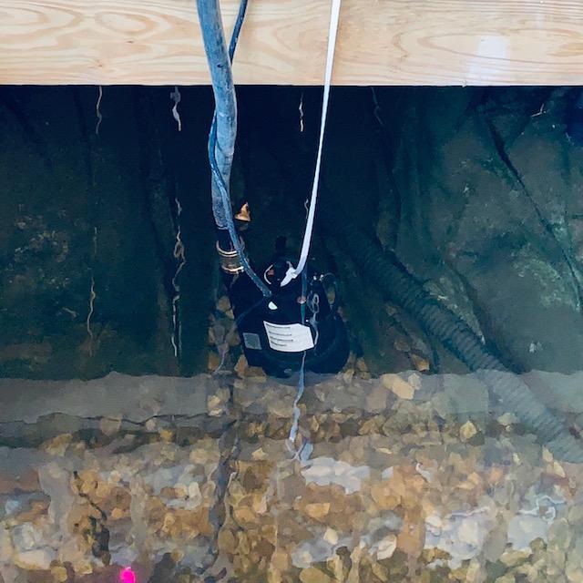 Then one remembered there was a sump pump in the back. That did it very efficiently. Talk about March garden chores if you have a garden pond!