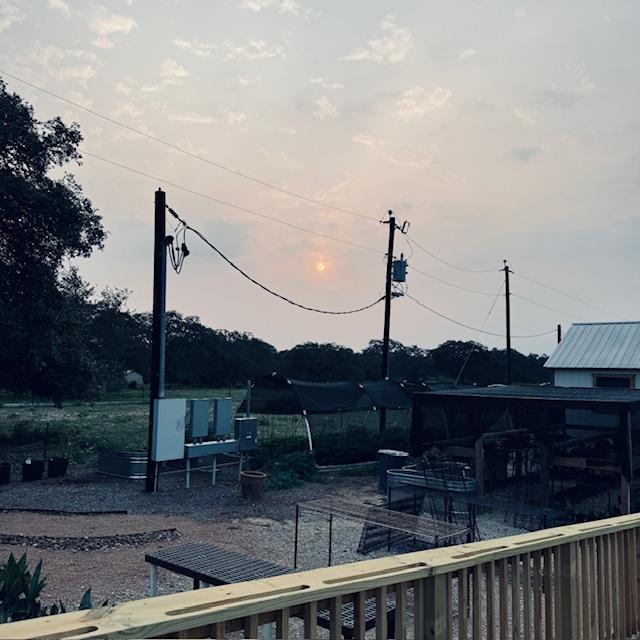 As I went over to the store to feed the fish, the sun was peaking through the clouds. It rained and then got really hot and humid in the afternoon.