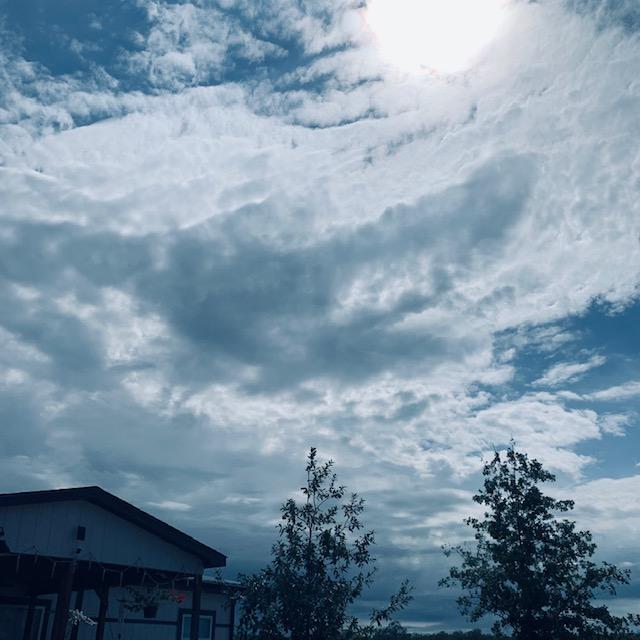 We missed the eclipse due to heavy cloud cover. The sun came out to play just before 2pm. That figures...LOL!