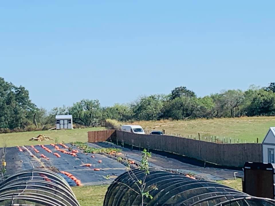 Here they come back down the hill. I wonder what our chickens are thinking as this happens. They are not finding chicken eggs for sure.