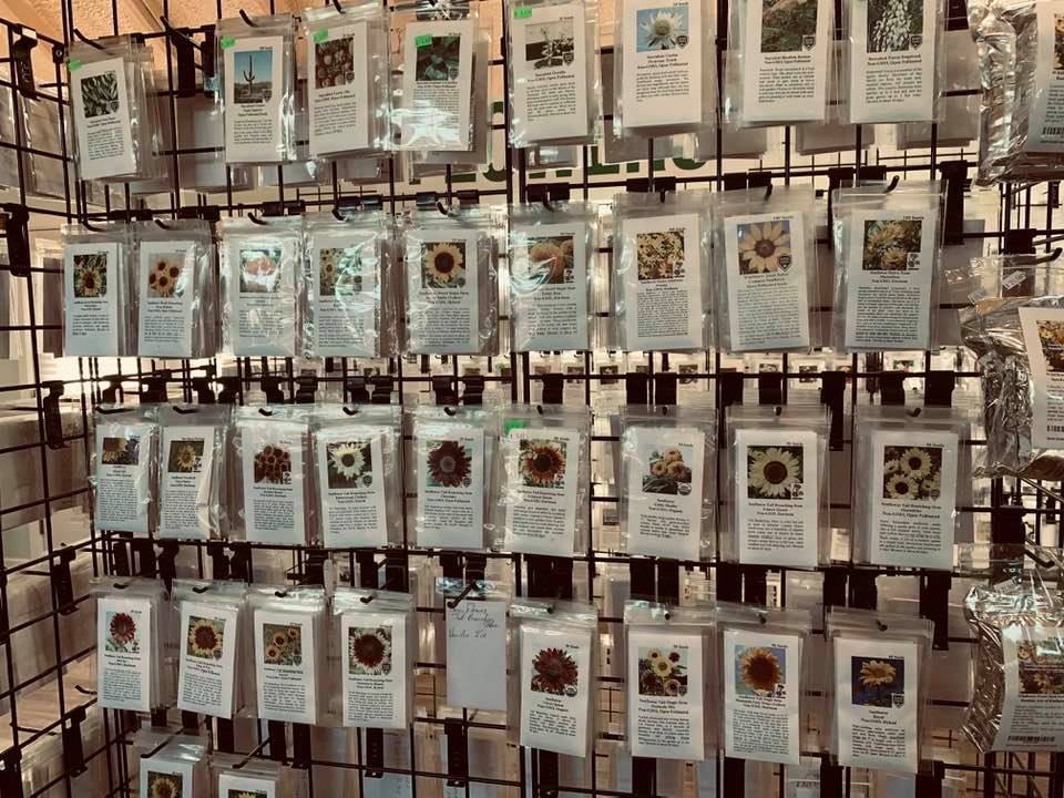 This is our sunflower seed section in the store. Sunflowers are a big part of our garden flower seeds for sale at David's Garden Seeds®.