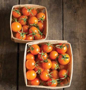 I started planting Sungold tomatoes three years ago. They are fabulous, sweet, crisp, prolific, everything you ever wanted in a cherry tomato! I started planting Sungold tomatoes three years ago. They are fabulous, sweet, crisp, prolific, everything you ever wanted in a cherry tomato!