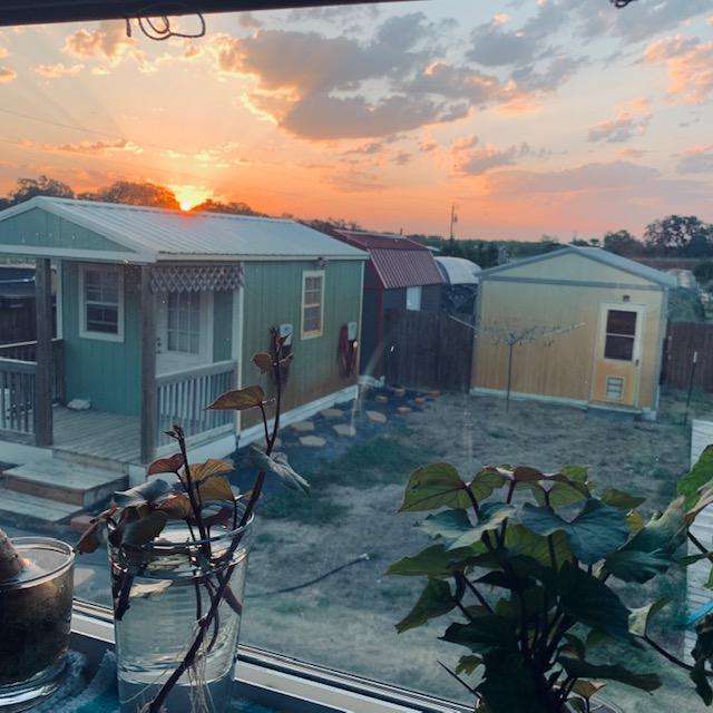 I took this sunrise from my kitchen window. You can see my sweet potato vines growing in the windowsill.
