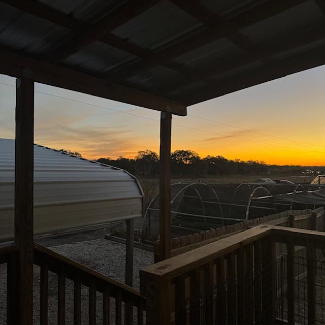Sunrise this morning from our side porch.