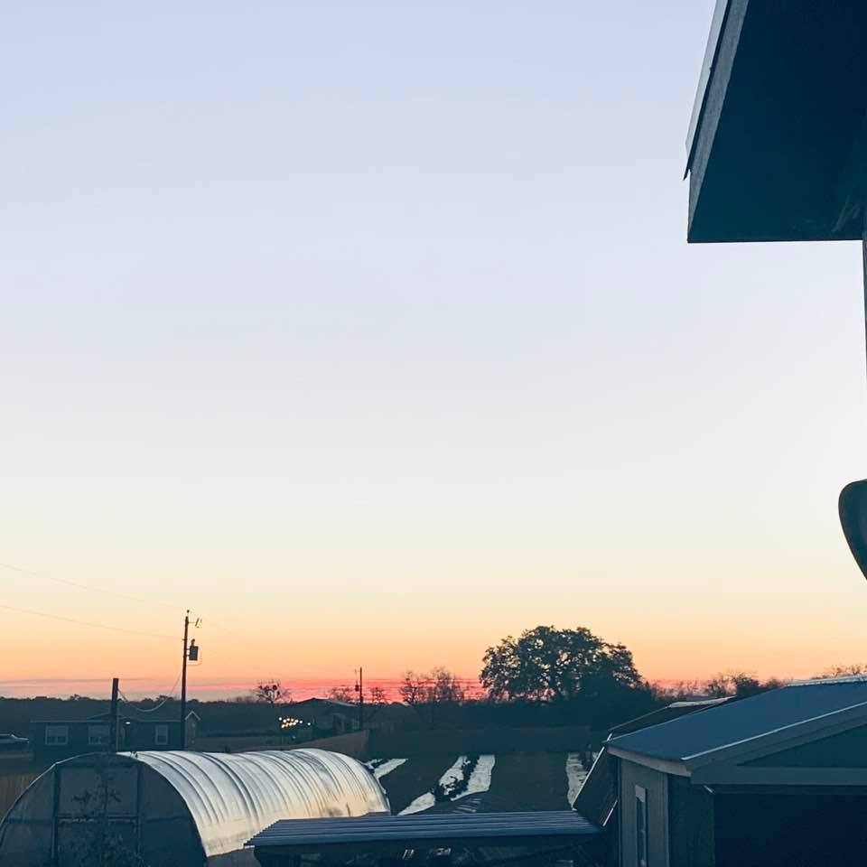 Happy Tuesday! Selling seeds is the best career move we ever made. We love providing quality Non-GMO seeds to our customers.