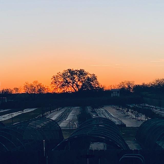 The sunrise was magnificent this morning.