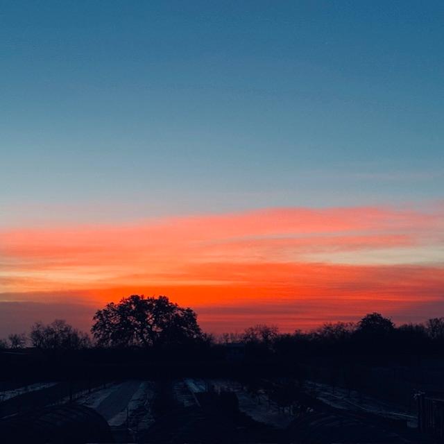 Look at this beautiful sunrise I just captured on my phone! The shades of pink are just gorgeous.