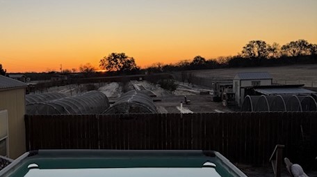 We had a beautiful sunrise this morning that I saw from the kitchen window. I went out into the Arctic freeze to snap this photo. You're welcome!