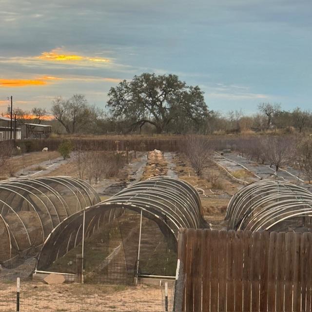 The sun is coming up. It even rained for a bit in the night because everything is wet this morning.