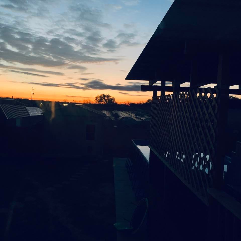 As the day dawns, you just know it will be beautiful! Greetings from the farm and warm wishes for a wonderful weekend just perfect for January garden chores.