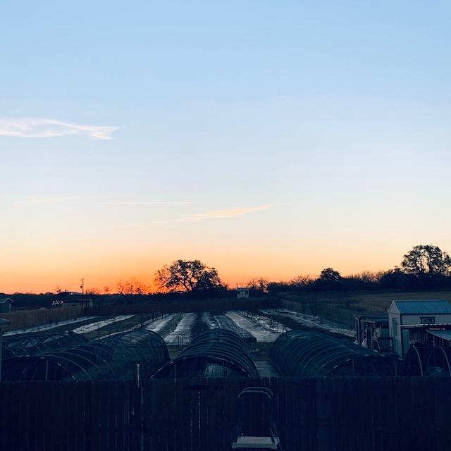 Another beautiful sunrise out on the farm.