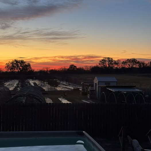 I thought this was a very pretty sunrise this morning.